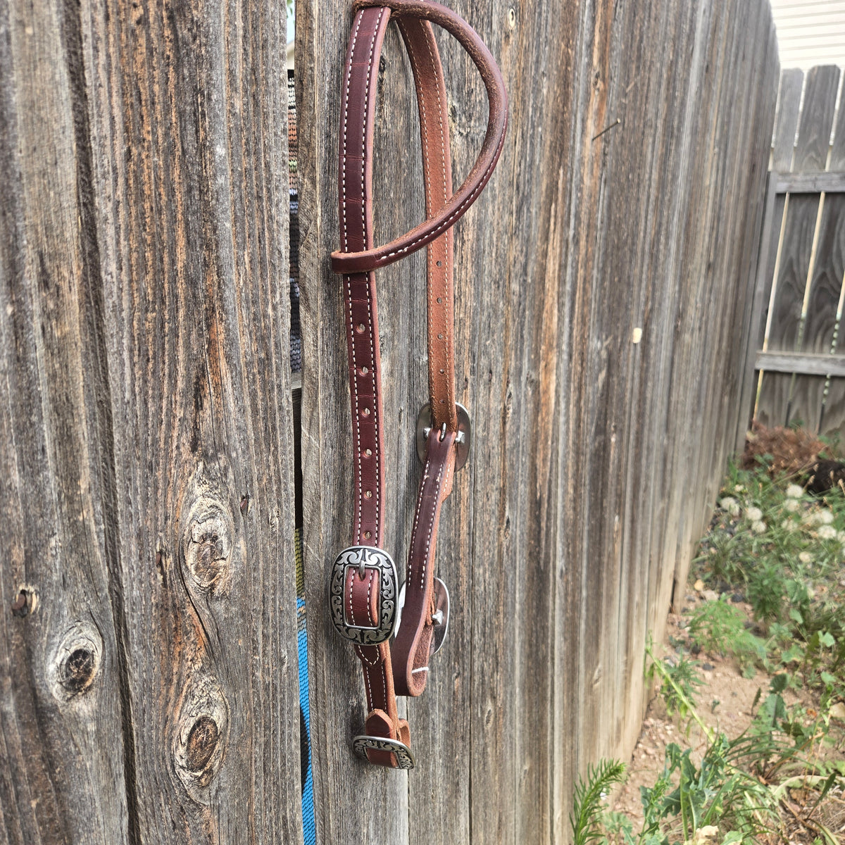 One ear headstalls with buckle at bit end, standard horse size