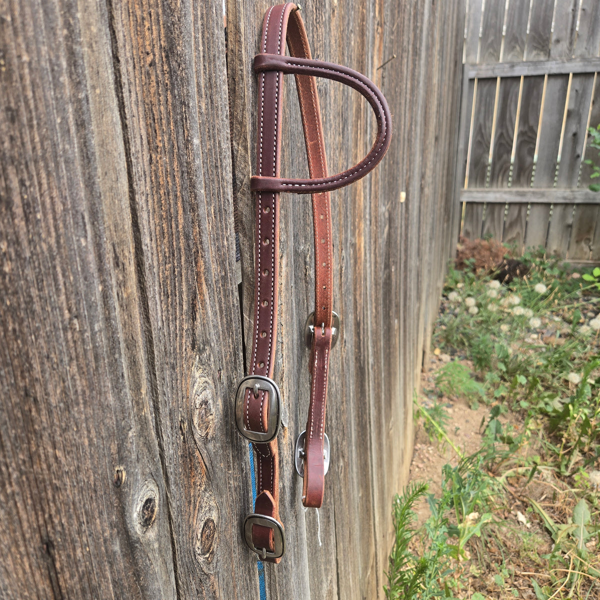 One ear headstalls with buckle at bit end, standard horse size